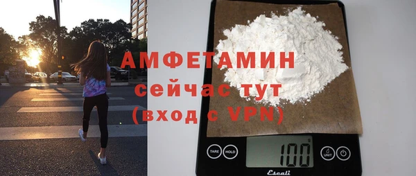 ГАЛЛЮЦИНОГЕННЫЕ ГРИБЫ Вяземский