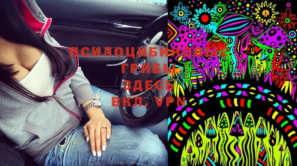 ГАЛЛЮЦИНОГЕННЫЕ ГРИБЫ Вяземский
