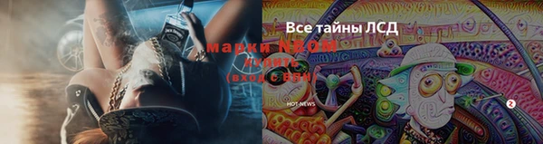 кристаллы Горняк