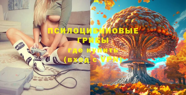ГАЛЛЮЦИНОГЕННЫЕ ГРИБЫ Вяземский