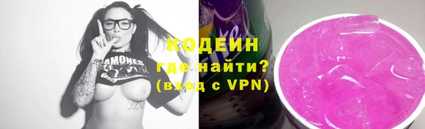 ГАЛЛЮЦИНОГЕННЫЕ ГРИБЫ Вяземский