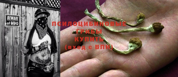 ГАЛЛЮЦИНОГЕННЫЕ ГРИБЫ Вяземский