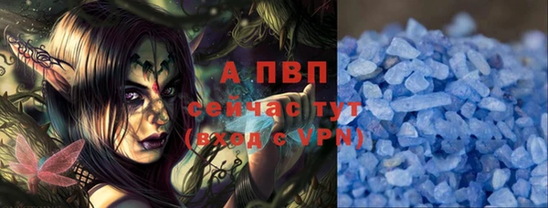 ГАЛЛЮЦИНОГЕННЫЕ ГРИБЫ Вяземский