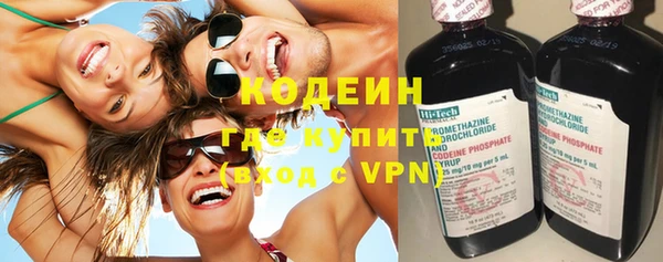 ГАЛЛЮЦИНОГЕННЫЕ ГРИБЫ Вяземский