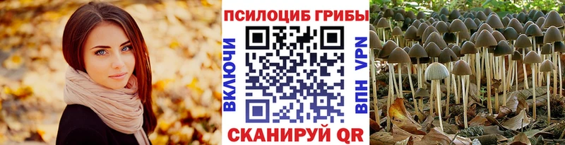 Галлюциногенные грибы ЛСД  Новочеркасск 